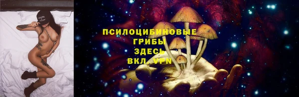 гашик Кукмор