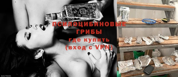 гашик Кукмор