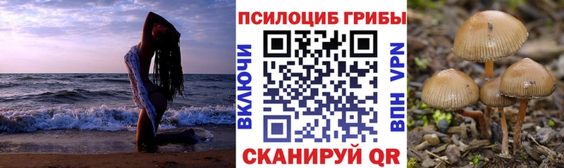 Псилоцибиновые грибы мухоморы  как найти   Миасс 